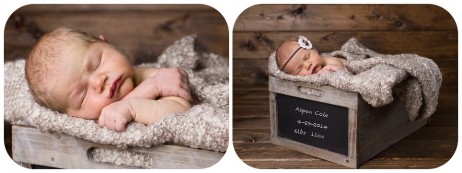 Carrie Edwards Photography|Evergreen Newborn Photographer ~ Carlson Family_006