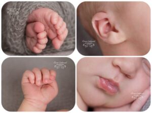 Oaken Newborn Session