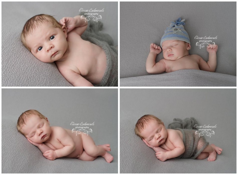 Carrie Edwards Photographer, Evergreen Newborn Photographer, baby pictures, baby boy, grey wrap, 