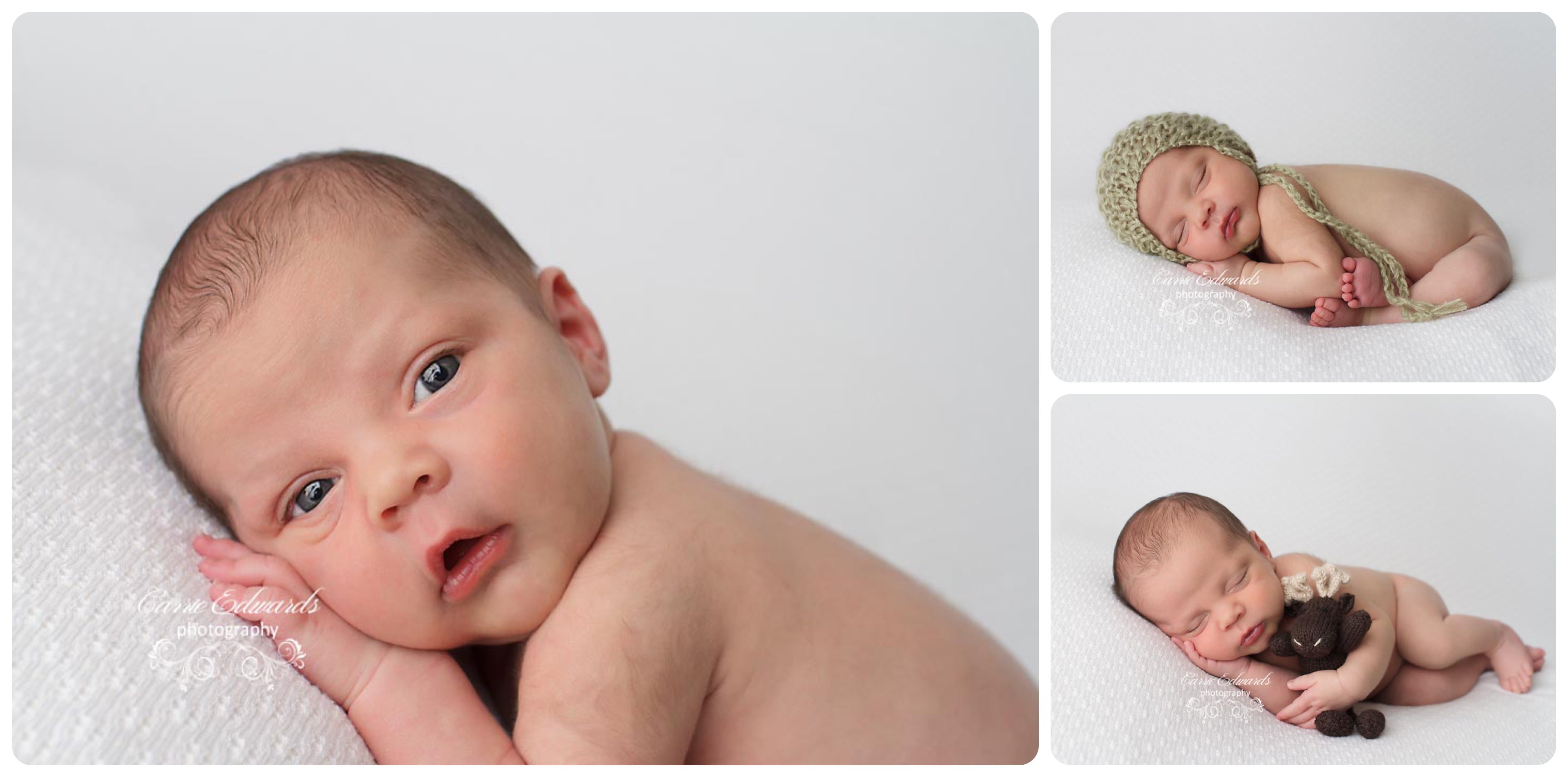 evergreen-newborn-photographer-baby-pictures-infant-infant-picturesnewborn-pictures-baby-photos-newborn-photographer