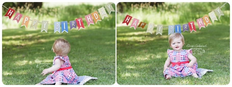 Evergreen Cake Smash Session, 1 year session, 1 year cake smash session, Evergreen Photographer, Evergreen Cake smash session, outdoor photography session, happy birthday banner