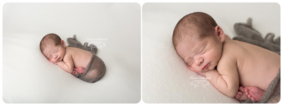 Evergreen Newborn Session Baby Boy, Newborn baby boy, Evergreen photographer, Newborn Photography, Carrie Edwards Photography, baby boy in grey wrap